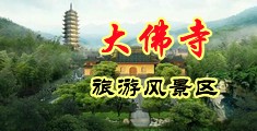 欧美小骚屄被狂插中国浙江-新昌大佛寺旅游风景区